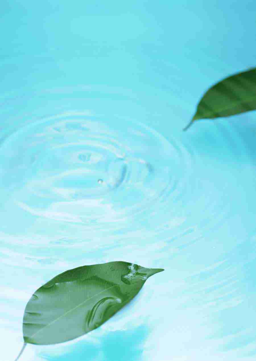 New Foliage - Datacraft Sozaijiten  ></a>
<script language=JavaScript> 
  var txt = 