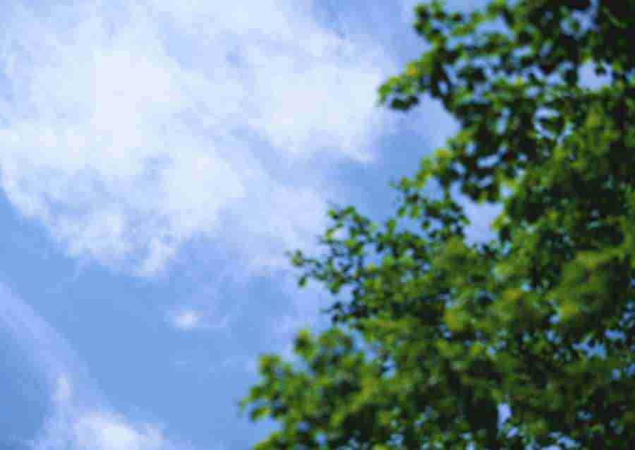 New Foliage - Datacraft Sozaijiten  ></a>
<script language=JavaScript> 
  var txt = 