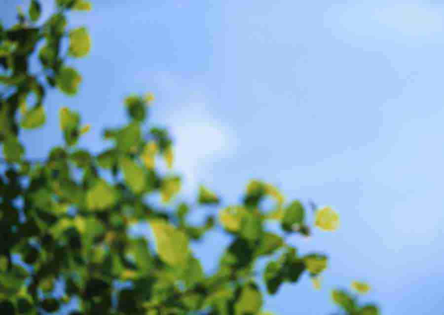 New Foliage - Datacraft Sozaijiten  ></a>
<script language=JavaScript> 
  var txt = 