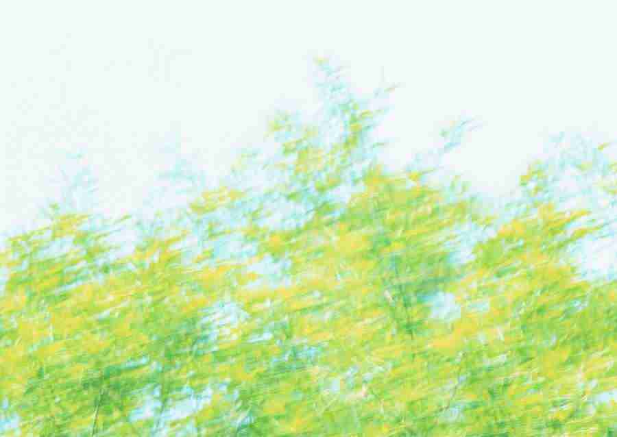 New Foliage - Datacraft Sozaijiten  ></a>
<script language=JavaScript> 
  var txt = 