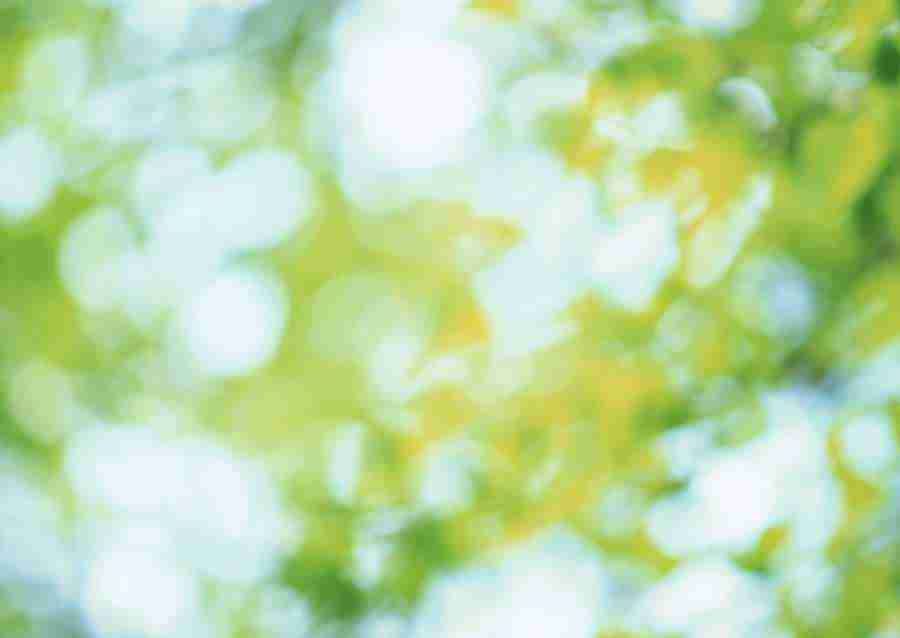 New Foliage - Datacraft Sozaijiten  ></a>
<script language=JavaScript> 
  var txt = 