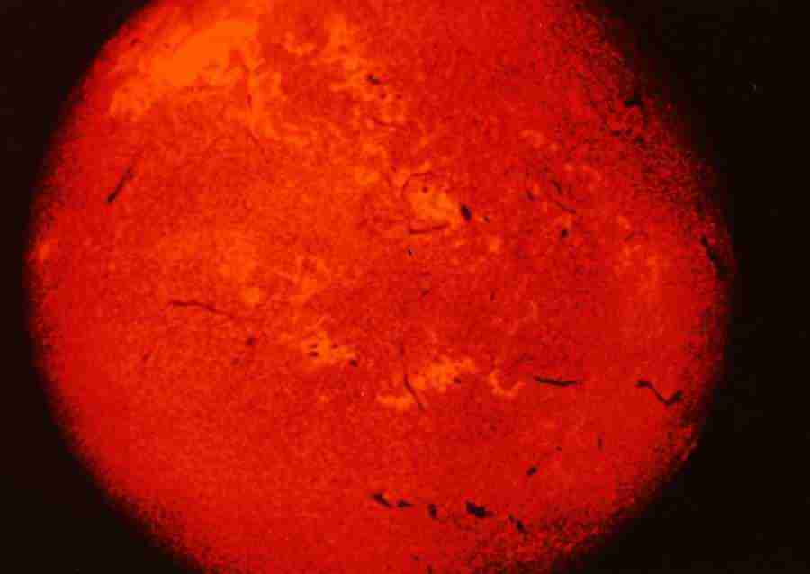 Planets - Datacraft Sozaijiten  ></a>
<script language=JavaScript> 
  var txt = 