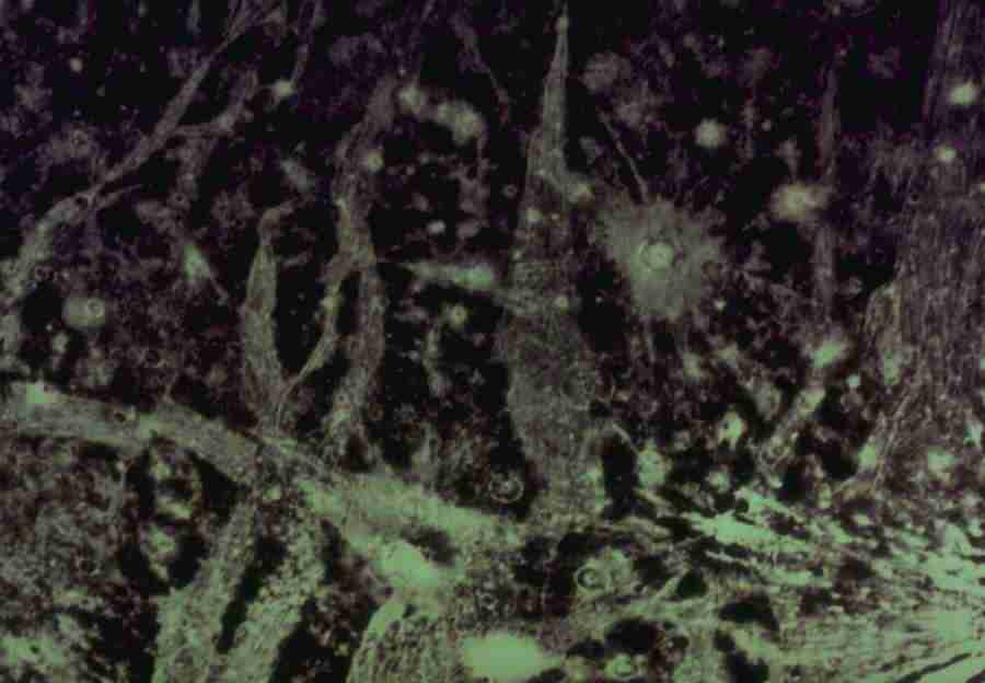 Planets - Datacraft Sozaijiten  ></a>
<script language=JavaScript> 
  var txt = 