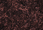 Datacraft Sozaijiten : Rusted Metal 