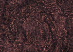 Datacraft Sozaijiten : Rusted Metal 