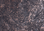 Datacraft Sozaijiten : Rusted Metal 