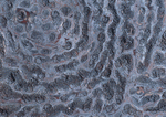 Datacraft Sozaijiten : Rusted Metal 