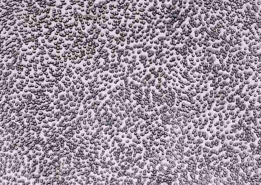 Rusted Metal - Datacraft Sozaijiten  ></a>
<script language=JavaScript> 
  var txt = 