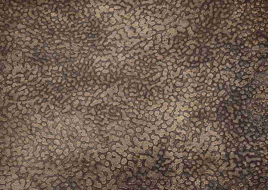 Rusted Metal - Datacraft Sozaijiten  ></a>
<script language=JavaScript> 
  var txt = 