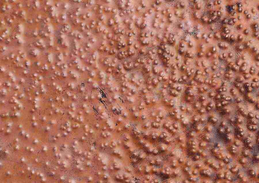 Rusted Metal - Datacraft Sozaijiten  ></a>
<script language=JavaScript> 
  var txt = 