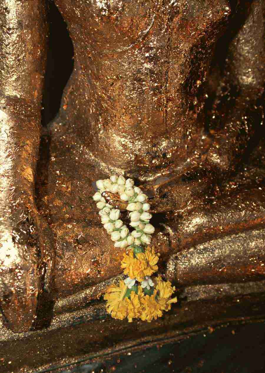 Southeast Asia - Datacraft Sozaijiten  ></a>
<script language=JavaScript> 
  var txt = 