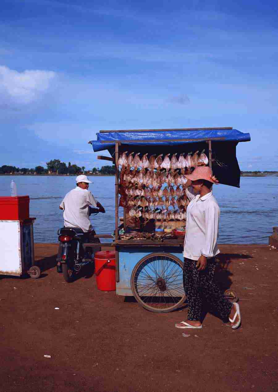 Southeast Asia - Datacraft Sozaijiten  ></a>
<script language=JavaScript> 
  var txt = 