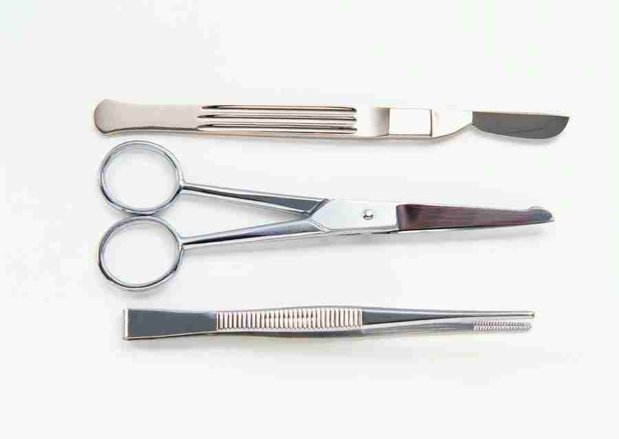 Science and Reasearch - Datacraft Sozaijiten  ></a>
<script language=JavaScript> 
  var txt = 