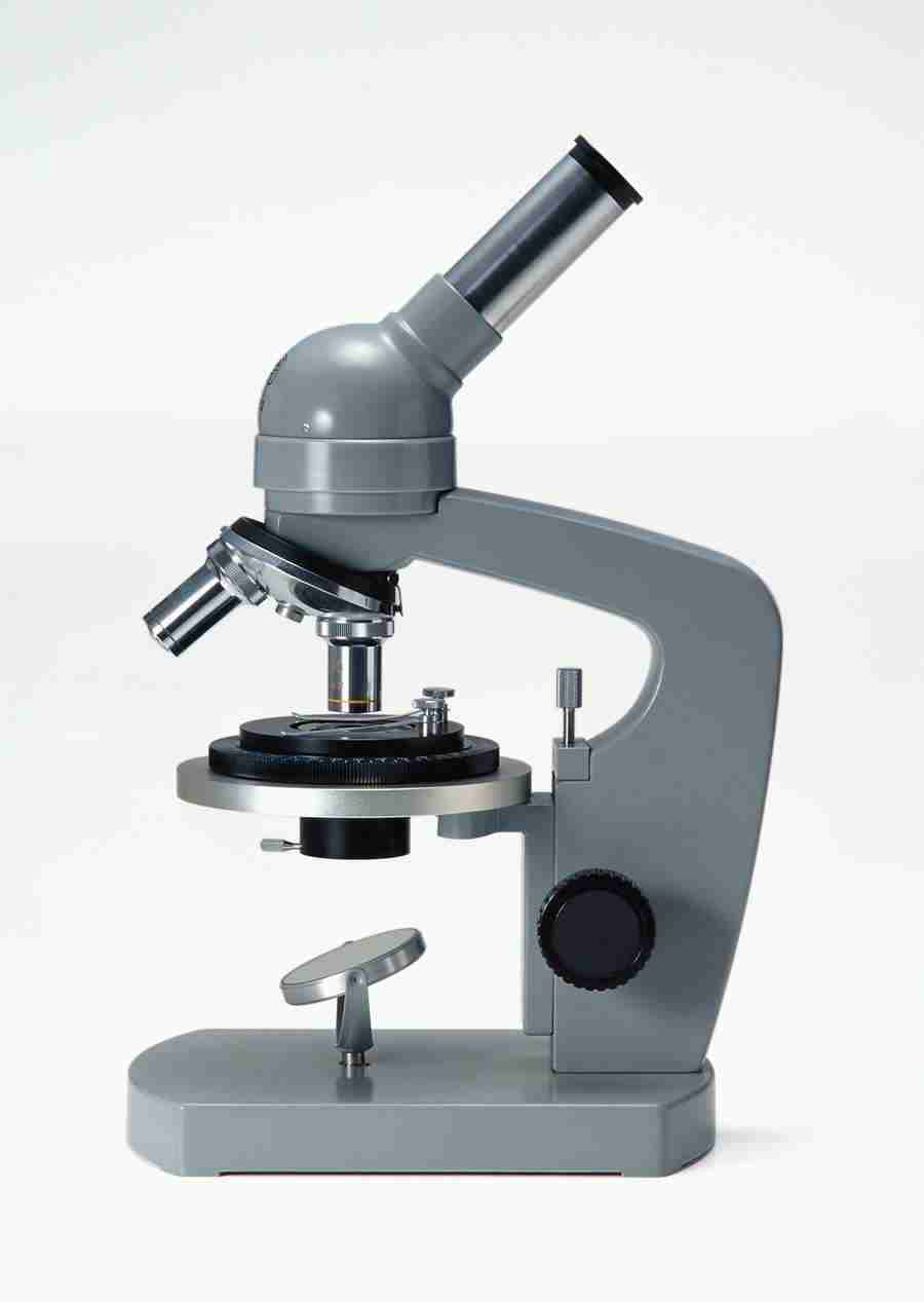 Science and Reasearch - Datacraft Sozaijiten  ></a>
<script language=JavaScript> 
  var txt = 