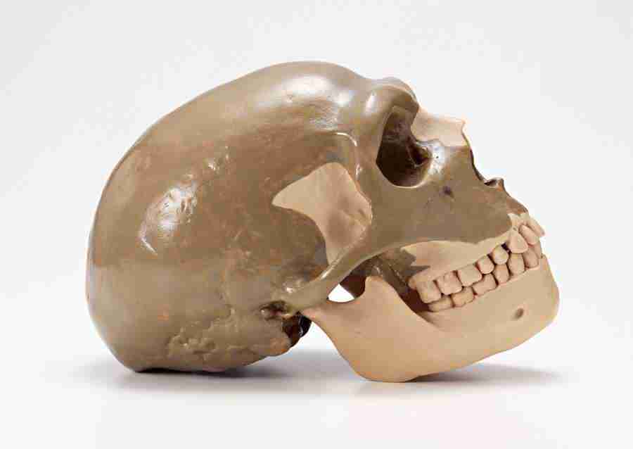 Science and Reasearch - Datacraft Sozaijiten  ></a>
<script language=JavaScript> 
  var txt = 