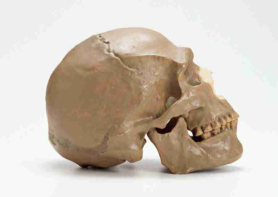 Science and Reasearch - Datacraft Sozaijiten  ></a>
<script language=JavaScript> 
  var txt = 