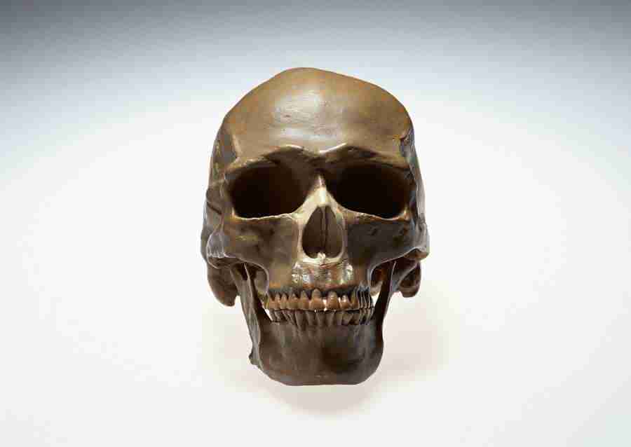 Science and Reasearch - Datacraft Sozaijiten  ></a>
<script language=JavaScript> 
  var txt = 