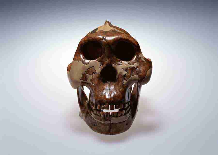 Science and Reasearch - Datacraft Sozaijiten  ></a>
<script language=JavaScript> 
  var txt = 