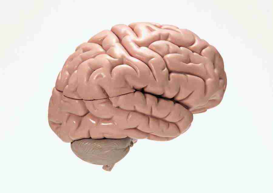 Science and Reasearch - Datacraft Sozaijiten  ></a>
<script language=JavaScript> 
  var txt = 