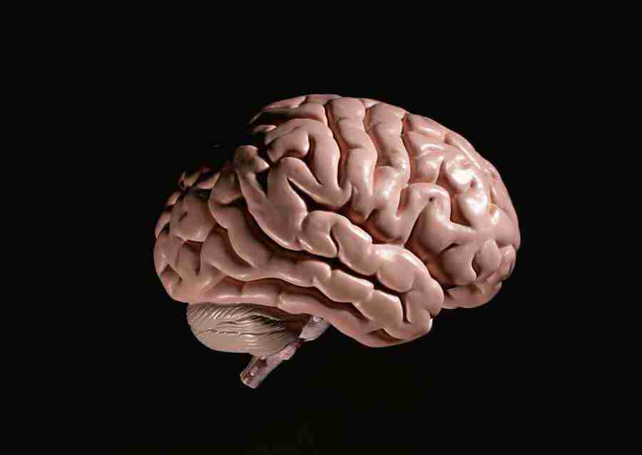 Science and Reasearch - Datacraft Sozaijiten  ></a>
<script language=JavaScript> 
  var txt = 