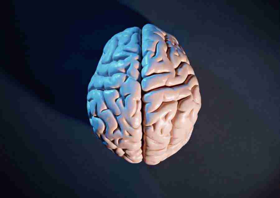 Science and Reasearch - Datacraft Sozaijiten  ></a>
<script language=JavaScript> 
  var txt = 