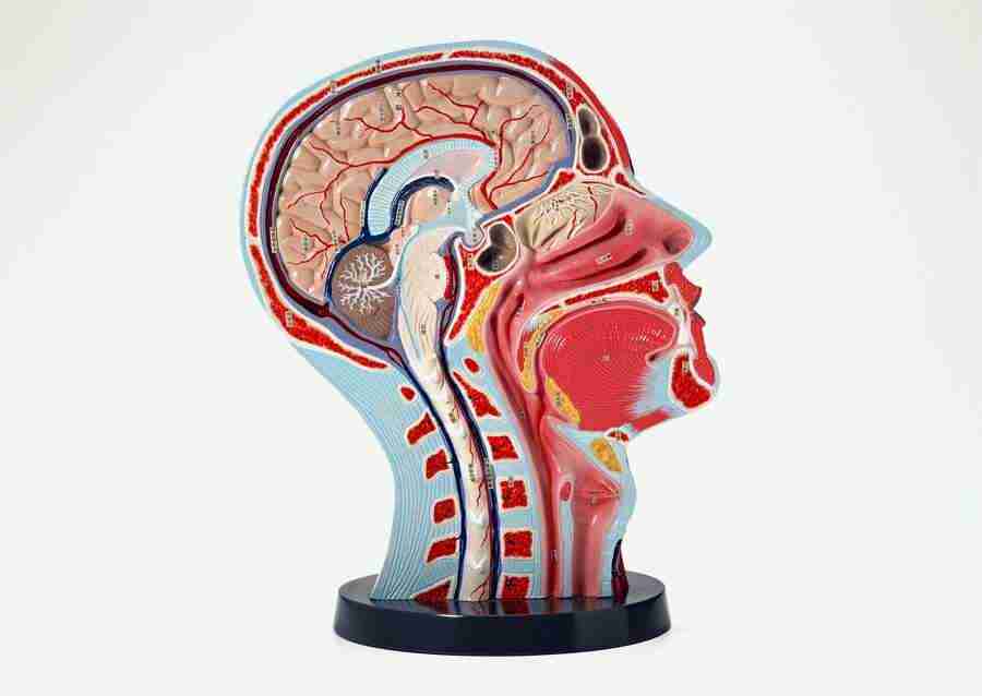 Science and Reasearch - Datacraft Sozaijiten  ></a>
<script language=JavaScript> 
  var txt = 