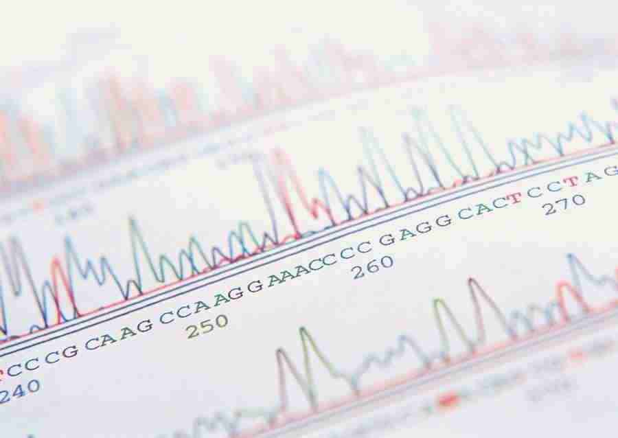 Science and Reasearch - Datacraft Sozaijiten  ></a>
<script language=JavaScript> 
  var txt = 