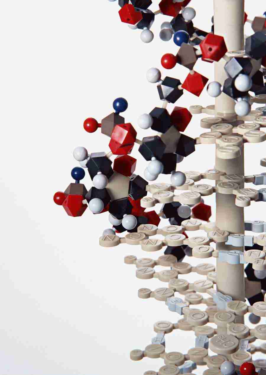 Science and Reasearch - Datacraft Sozaijiten  ></a>
<script language=JavaScript> 
  var txt = 