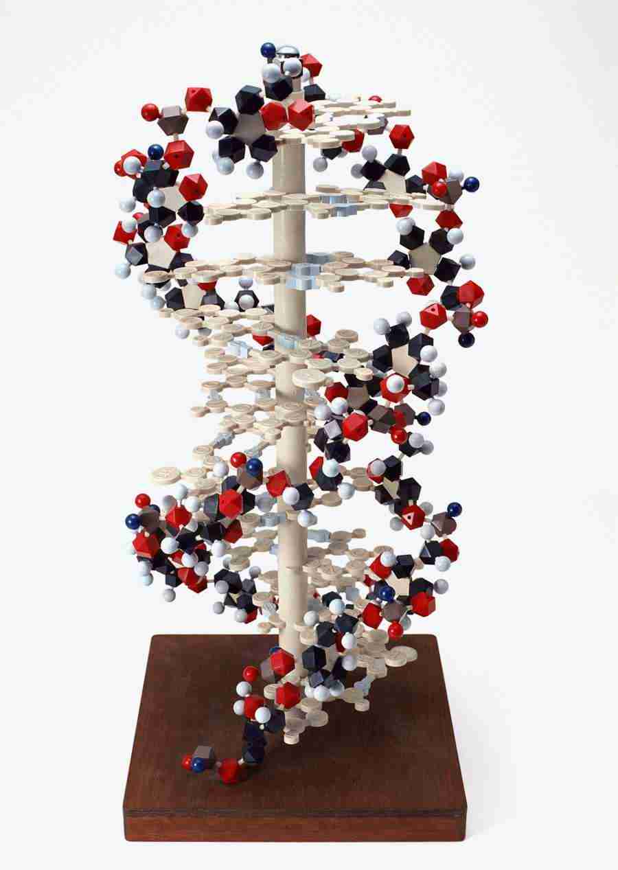 Science and Reasearch - Datacraft Sozaijiten  ></a>
<script language=JavaScript> 
  var txt = 