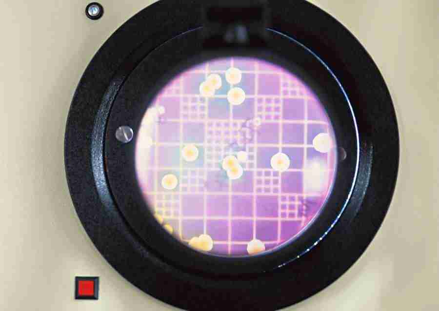 Science and Reasearch - Datacraft Sozaijiten  ></a>
<script language=JavaScript> 
  var txt = 