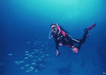 Datacraft Sozaijiten : Scuba And Underwater World 