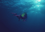 Datacraft Sozaijiten : Scuba And Underwater World 