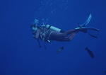 Datacraft Sozaijiten : Scuba And Underwater World 