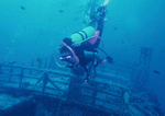 Datacraft Sozaijiten : Scuba And Underwater World 