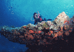 Datacraft Sozaijiten : Scuba And Underwater World 