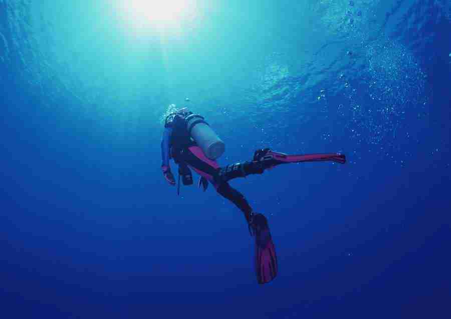Scuba And Underwater World - Datacraft Sozaijiten  ></a>
<script language=JavaScript> 
  var txt = 