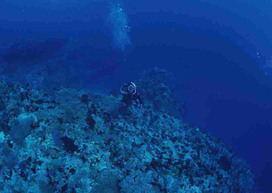 Scuba And Underwater World - Datacraft Sozaijiten  ></a>
<script language=JavaScript> 
  var txt = 