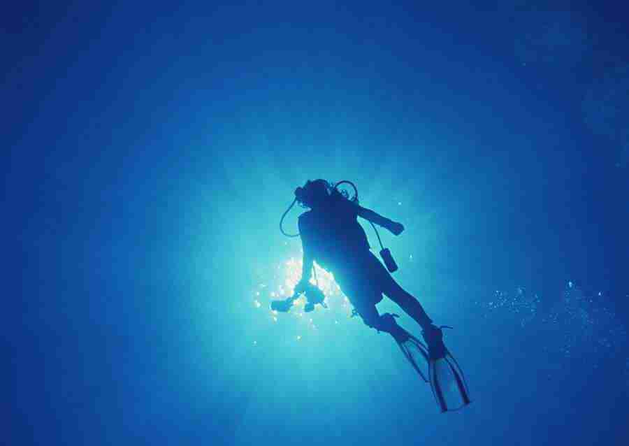 Scuba And Underwater World - Datacraft Sozaijiten  ></a>
<script language=JavaScript> 
  var txt = 