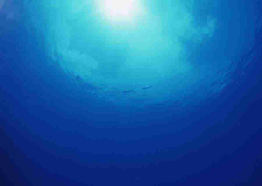 Scuba And Underwater World - Datacraft Sozaijiten  ></a>
<script language=JavaScript> 
  var txt = 