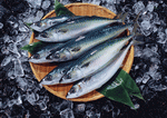 Datacraft Sozaijiten : Seasonal Fish and Shellfis 