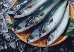 Datacraft Sozaijiten : Seasonal Fish and Shellfis 