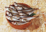 Datacraft Sozaijiten : Seasonal Fish and Shellfis 