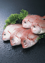 Datacraft Sozaijiten : Seasonal Fish and Shellfis 