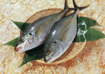 Datacraft Sozaijiten : Seasonal Fish and Shellfis 