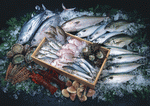 Datacraft Sozaijiten : Seasonal Fish and Shellfis 