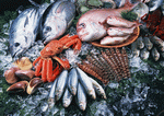 Datacraft Sozaijiten : Seasonal Fish and Shellfis 