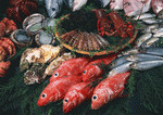 Datacraft Sozaijiten : Seasonal Fish and Shellfis 