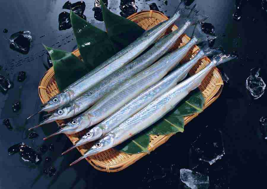 Seasonal Fish and Shellfis - Datacraft Sozaijiten  ></a>
<script language=JavaScript> 
  var txt = 