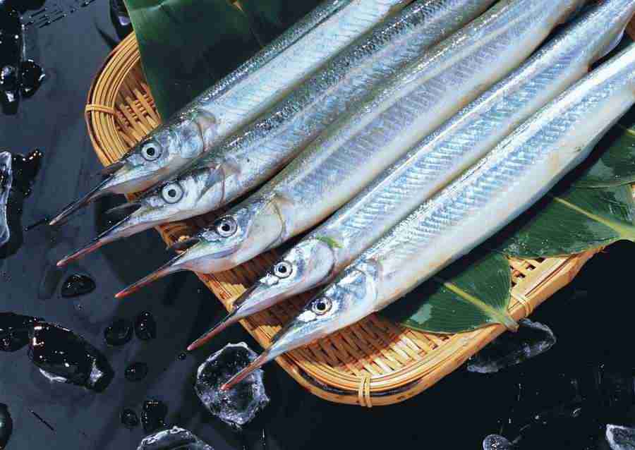 Seasonal Fish and Shellfis - Datacraft Sozaijiten  ></a>
<script language=JavaScript> 
  var txt = 
