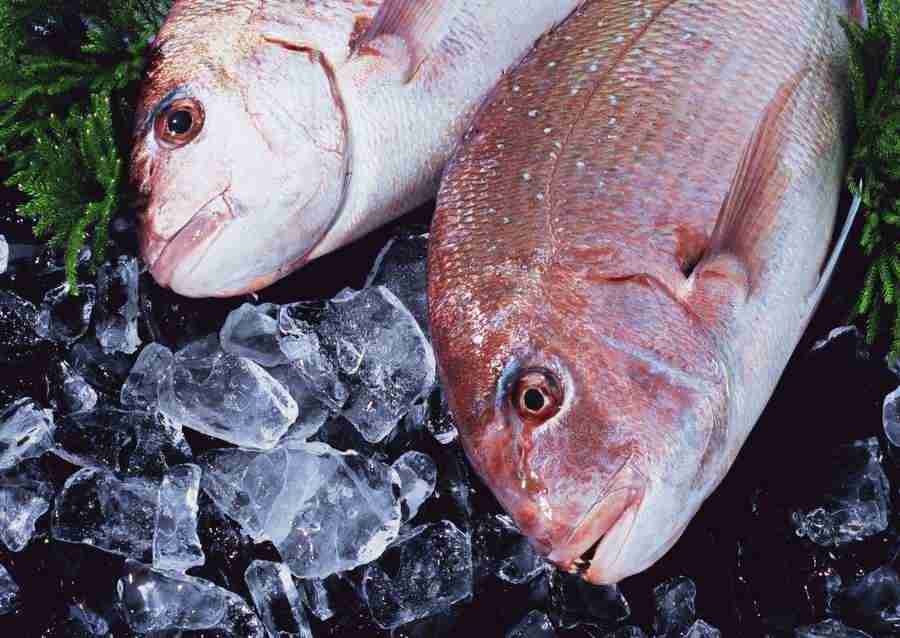 Seasonal Fish and Shellfis - Datacraft Sozaijiten  ></a>
<script language=JavaScript> 
  var txt = 